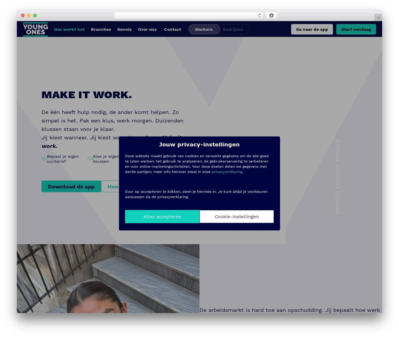Theme WordPress The Pageking Framework - youngones.com/nl