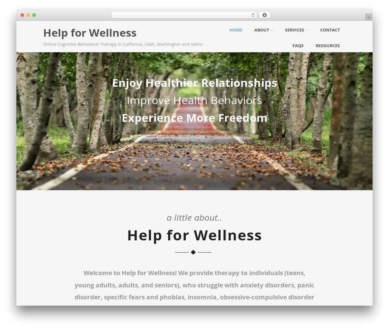 Theme WordPress Optimizer PRO - helpforwellness.com
