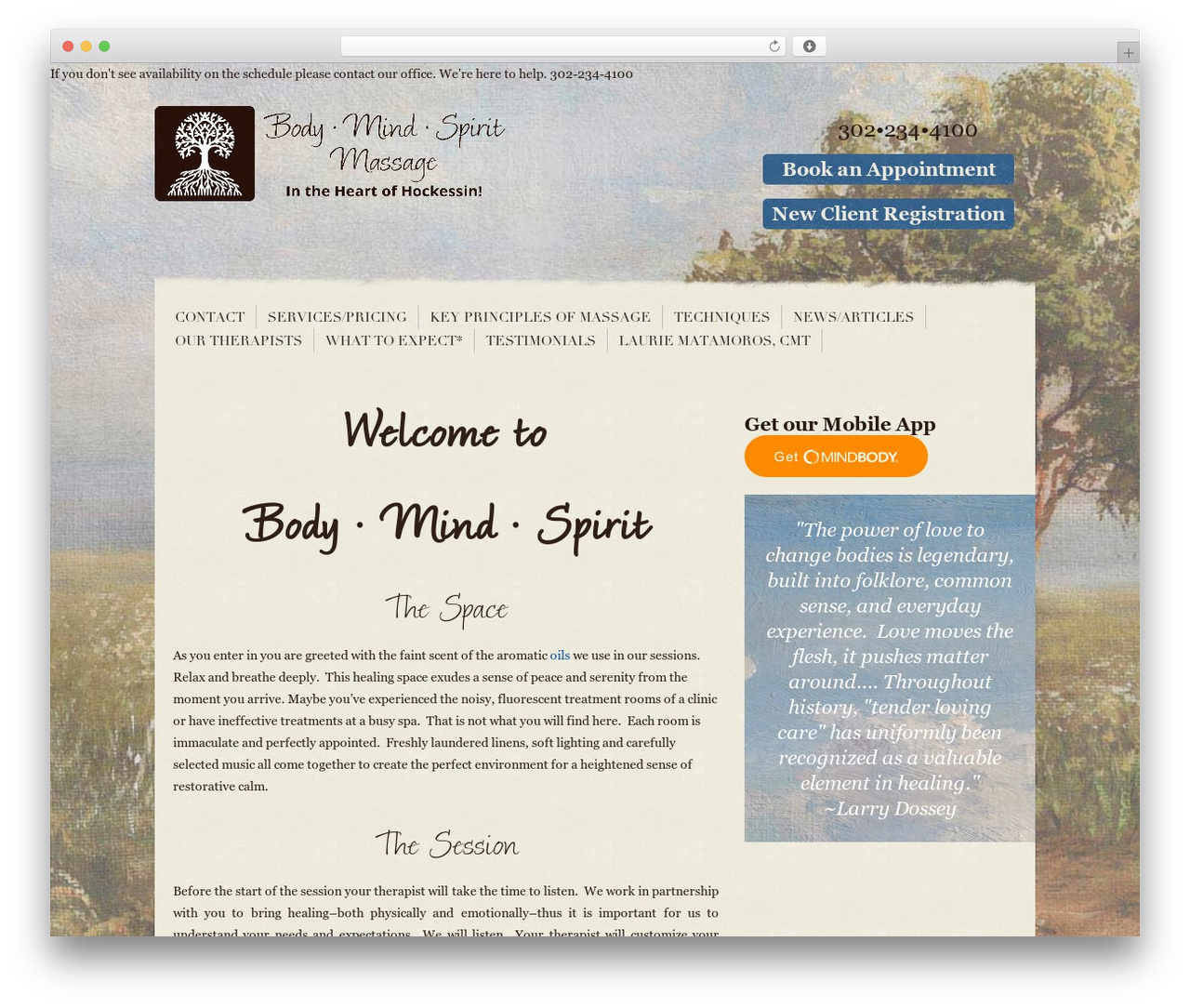 Theme WordPress BMS - hockessinmassage.com Theme WordPress BMS - hockessinmassage.com