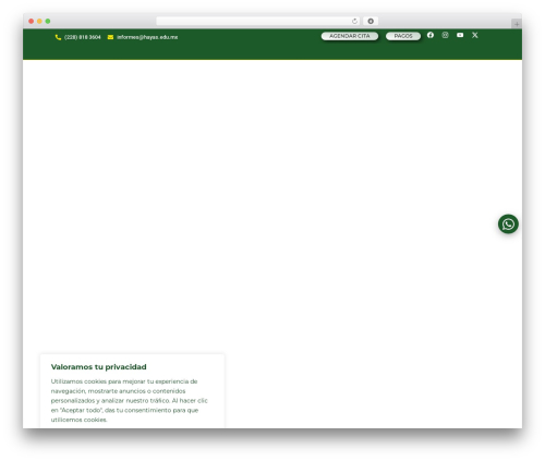 Theme WordPress Hello Elementor - hayas.edu.mx