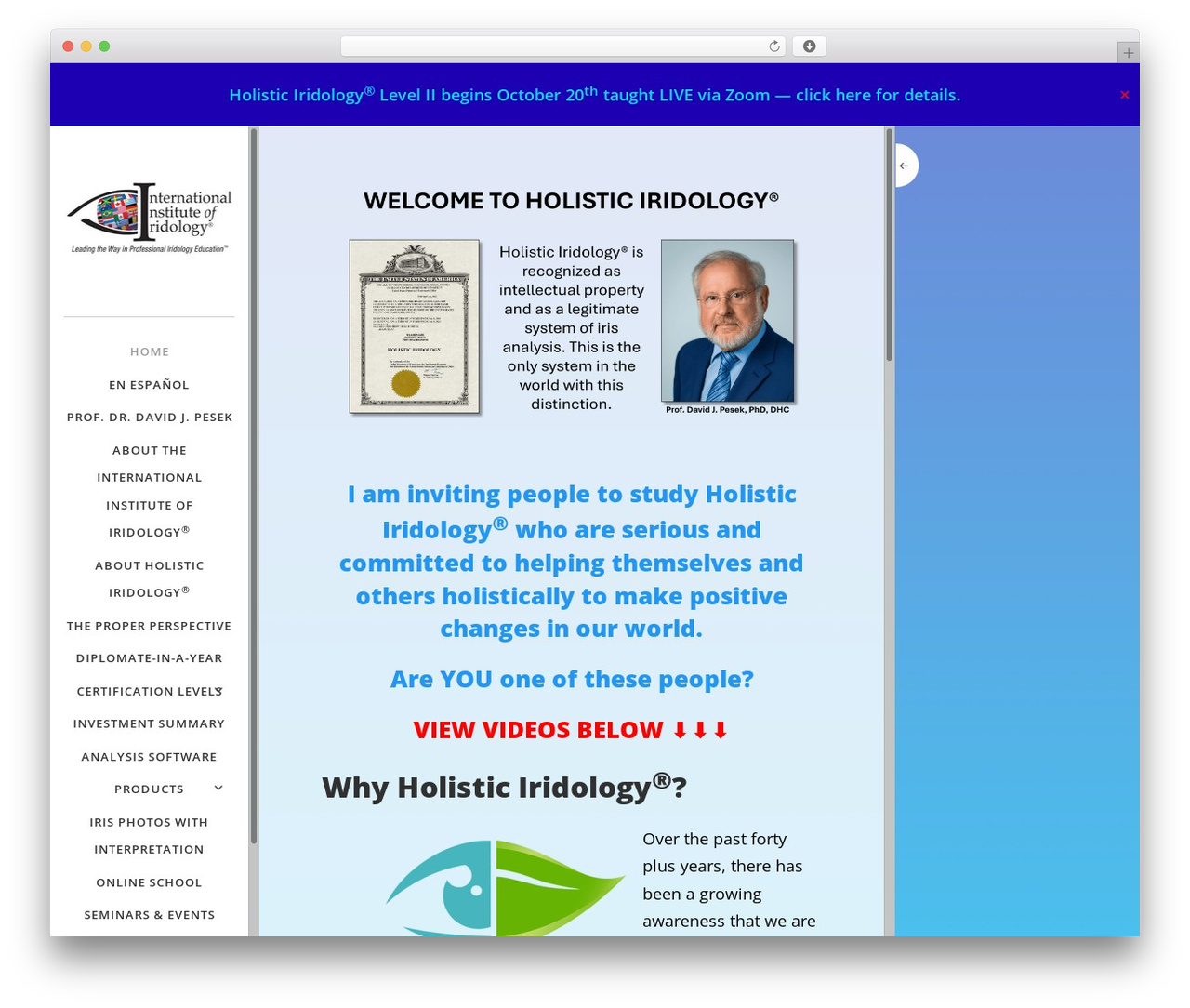 WordPress theme Soho - holisticiridology.com
