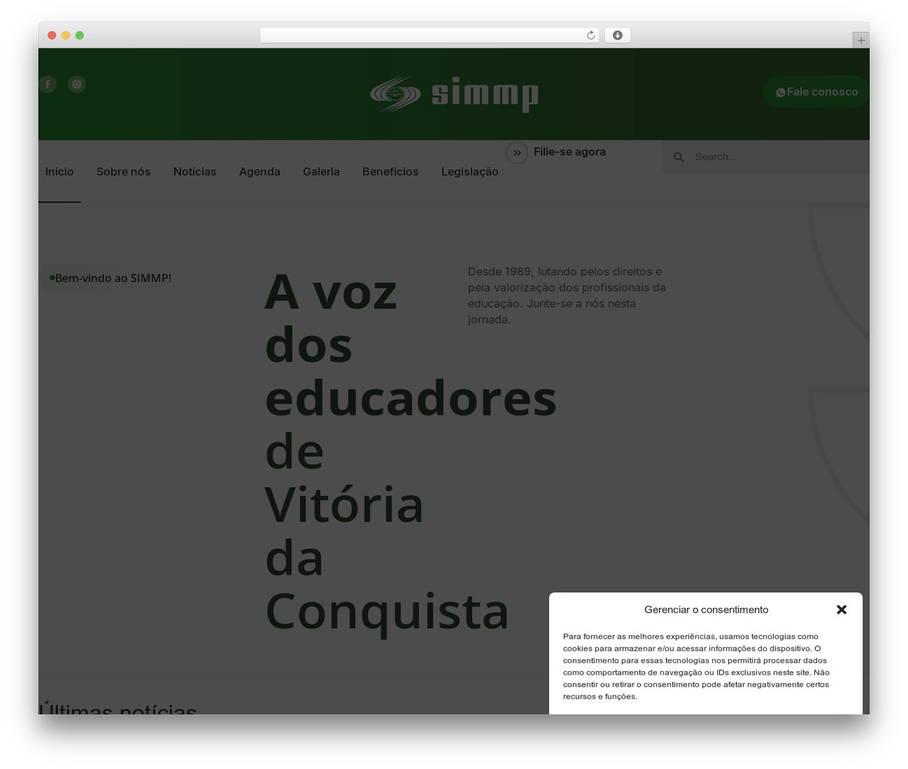 WordPress website theme Hello Elementor - simmp.com.br