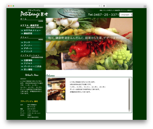 Best WordPress theme Themify Basic - p-ibuki.com