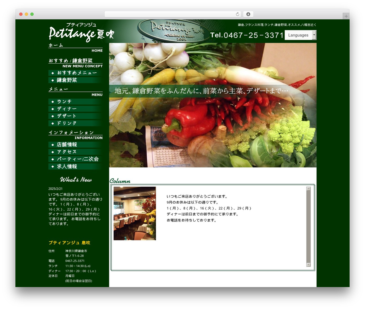 Best WordPress theme Themify Basic - p-ibuki.com
