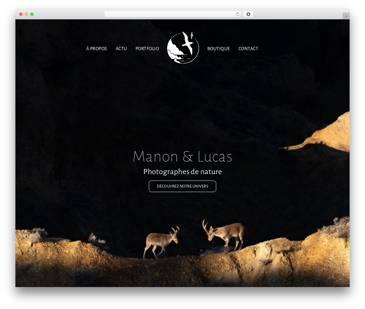 Blacksilver WordPress theme - manonlucasphotography.com