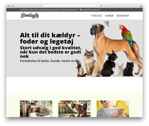 Recently viewed and most viewed products (recently-viewed-and-most-viewed-products) free WordPress plugin - burmesecats.dk
