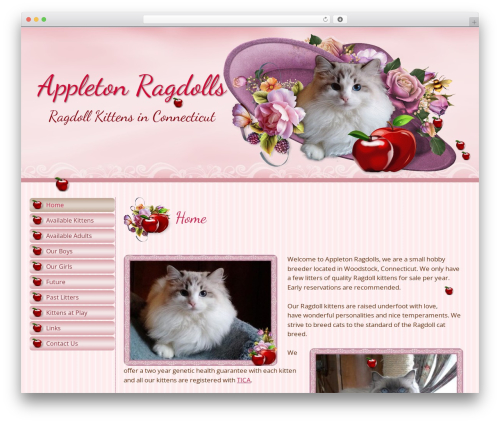 Snow (snow) free WordPress plugin - appletonragdolls.com Snow (snow) free WordPress plugin - appletonragdolls.com