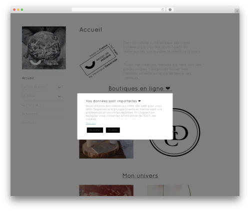 Easy Logo (easylogo) free WordPress plugin - designdematiere.com