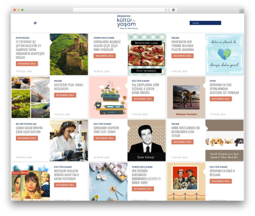 Flow WordPress theme - kulturveyasam.com