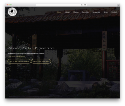 Lambda best WordPress theme - brookfieldtaichi.com
