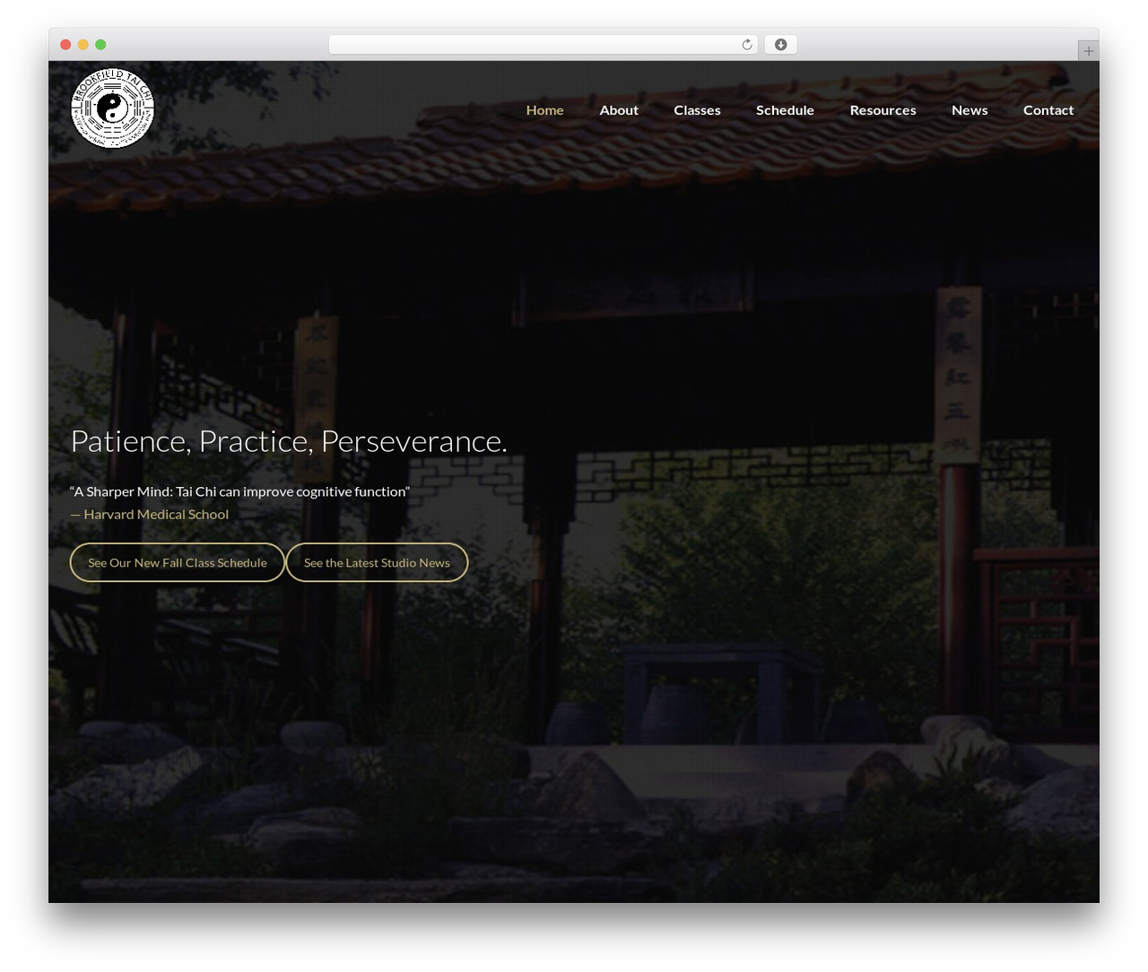 Lambda Child Theme best WordPress theme - brookfieldtaichi.com