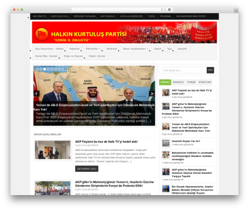 WordPress theme Project AR2 - hkpizmir.org