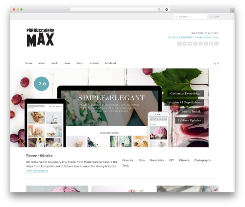 Simple elegant addons WordPress plugin - parrucchieremax.it
