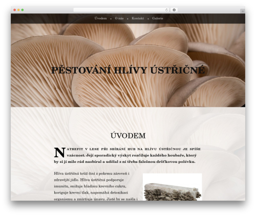 WP theme Book Lite - hlivaustricna.eu