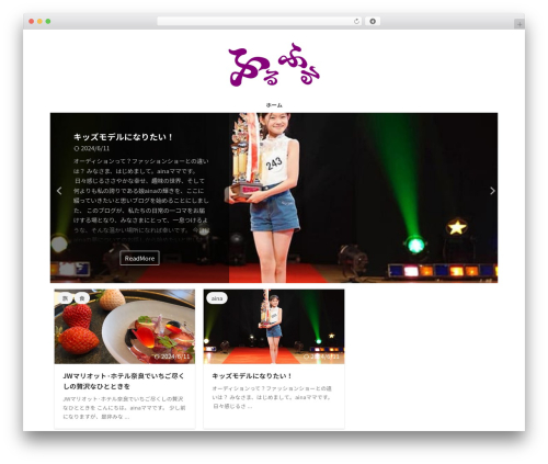 Affinger theme WordPress - iunac.com