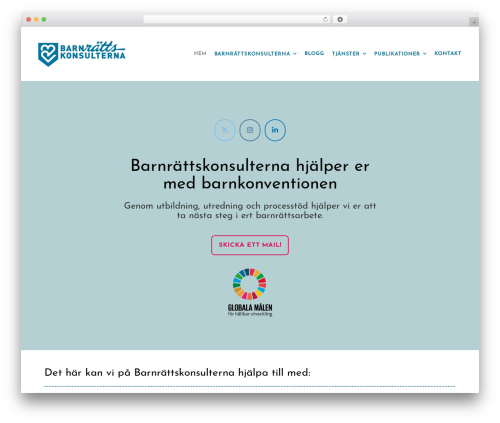 Create WordPress theme - barnrattskonsulterna.se