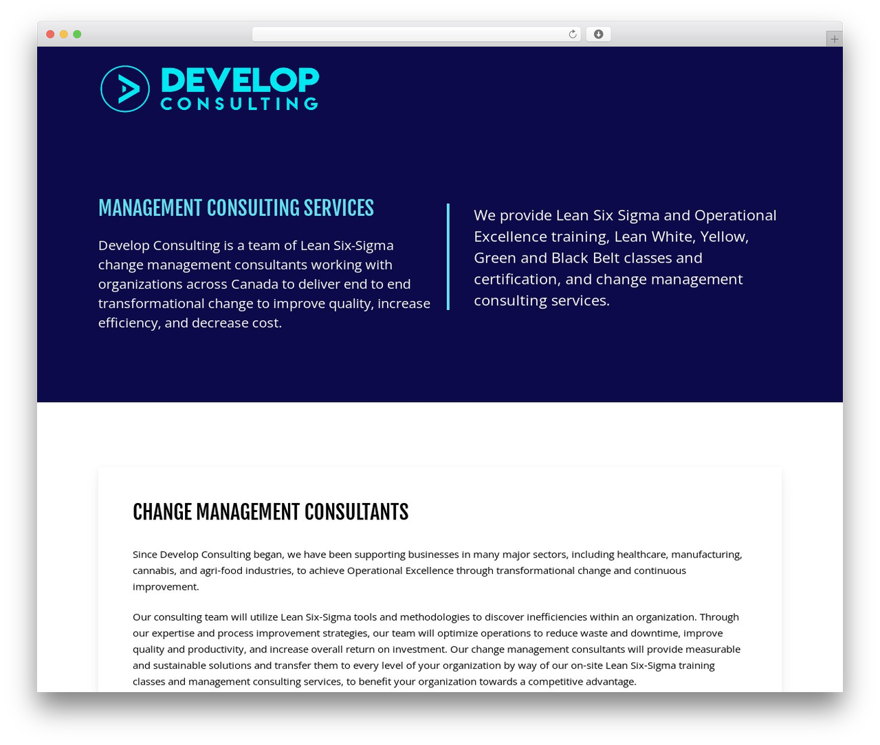 Develop Consulting WordPress theme - developconsulting.ca