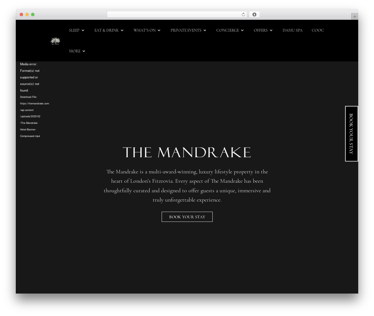 Divi theme WordPress - themandrake.com Divi theme WordPress - themandrake.com