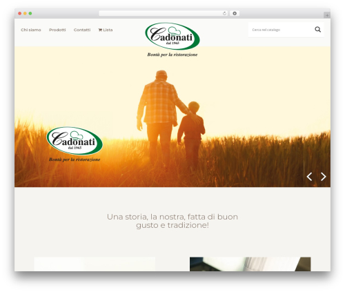 TEMABASE WordPress theme - cadonati.com