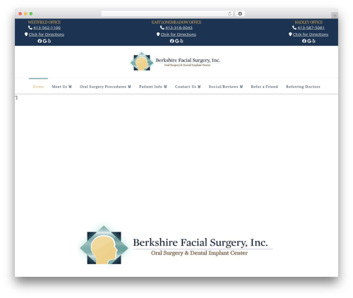 Theme WordPress Pro - berkshirefacialsurgery.com