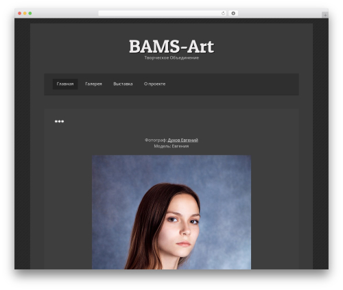 volta WordPress theme - bams-art.ru
