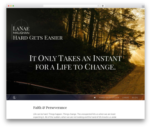 Dms plugin pro WordPress plugin - hardgetseasier.com