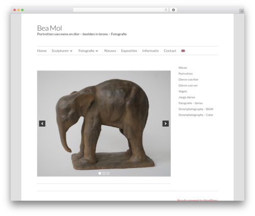 Elucidate WordPress theme - beamol.nl