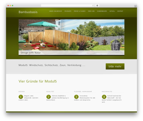 inFocus theme WordPress - bambusbasis.de