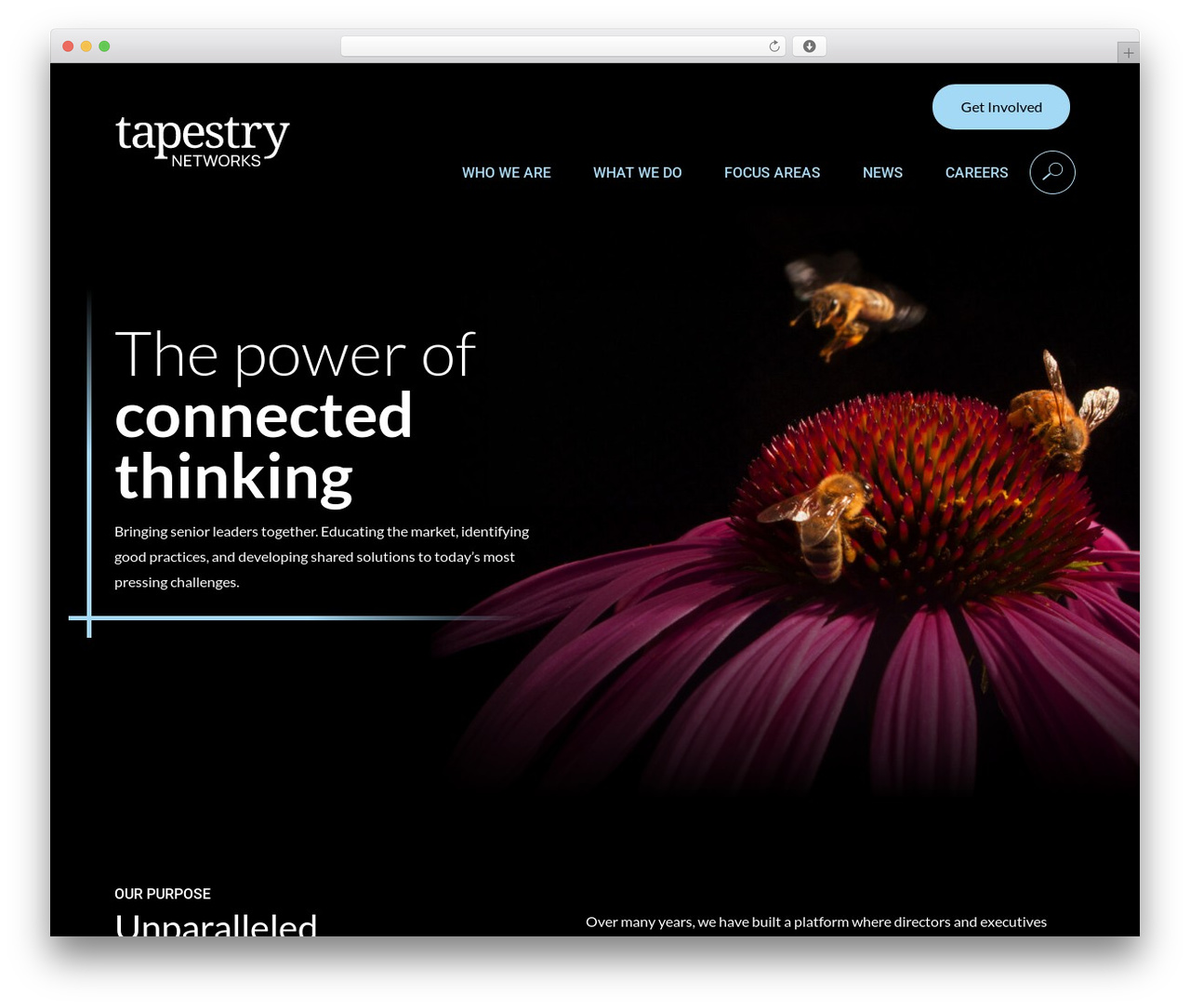 Tapestry theme WordPress - tapestrynetworks.com