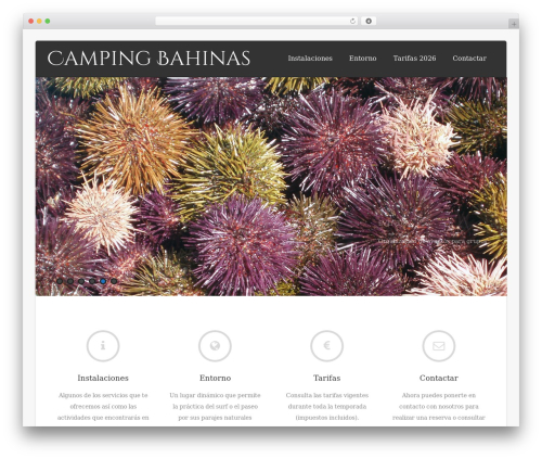 Theme WordPress Asteria Lite - bahinas.com