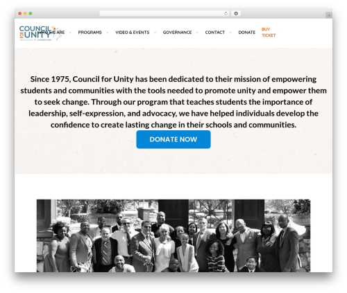 Theme setting WordPress plugin - councilforunity.org