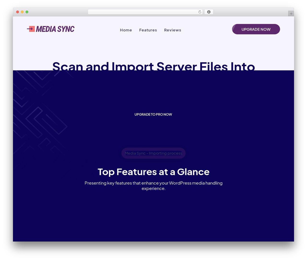 CodBe WordPress theme - mediasyncplugin.com