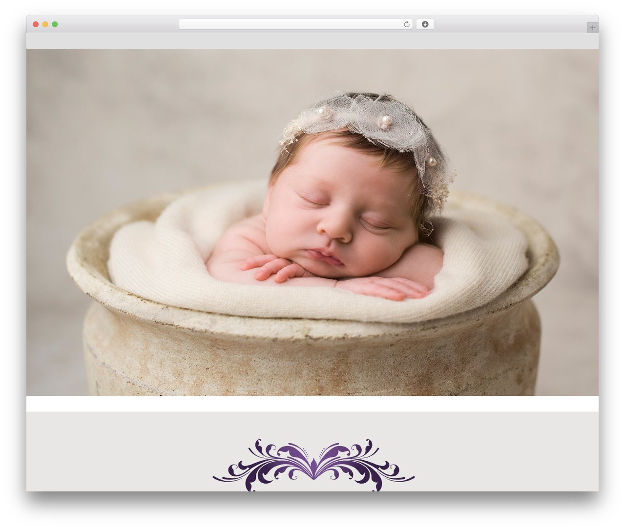 Optimizer PRO WordPress gallery theme - bergmanhughesimages.com