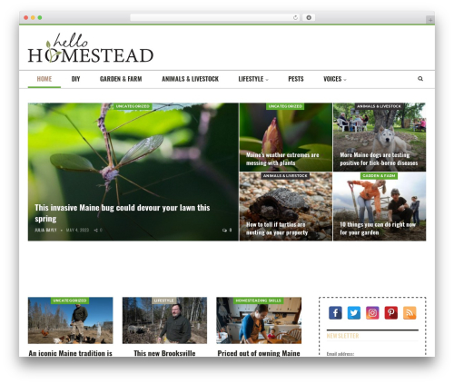 Theme WordPress Publisher - hellohomestead.com