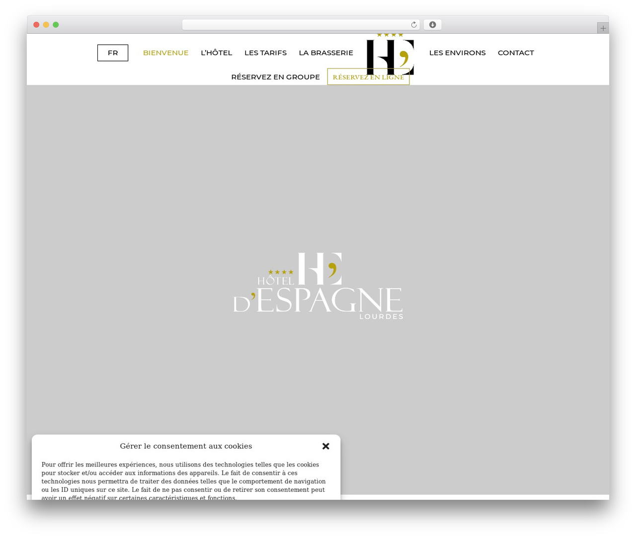 WordPress theme Divi - hoteldespagne.com
