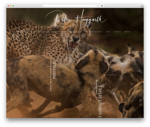 Ashade WordPress theme image - peterhaygarth.com Ashade WordPress theme image - peterhaygarth.com