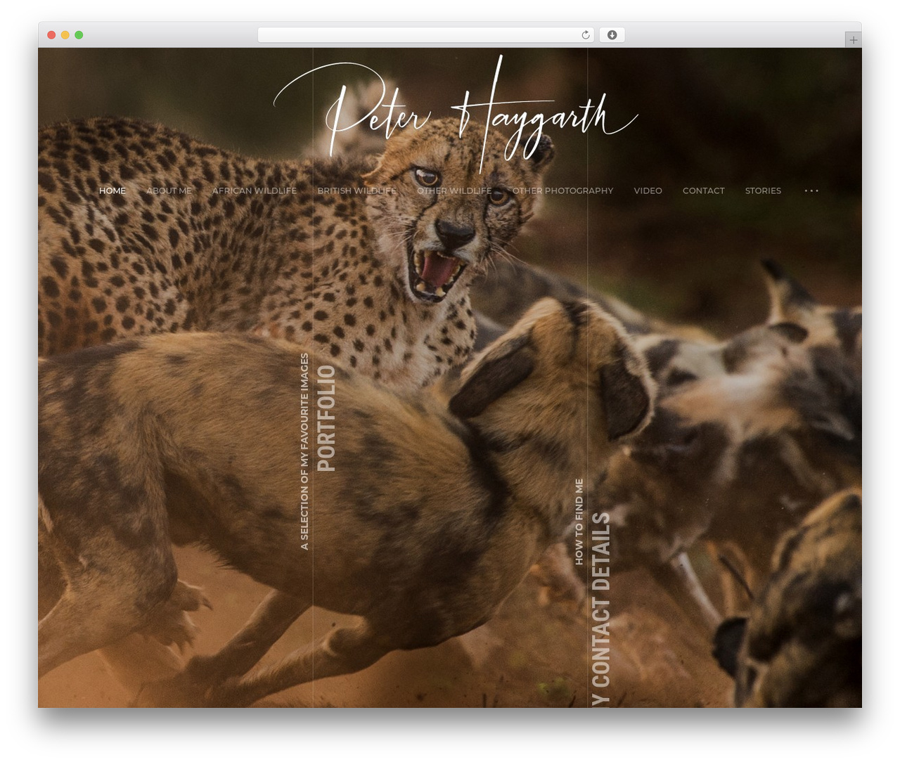 Ashade WordPress theme image - peterhaygarth.com Ashade WordPress theme image - peterhaygarth.com