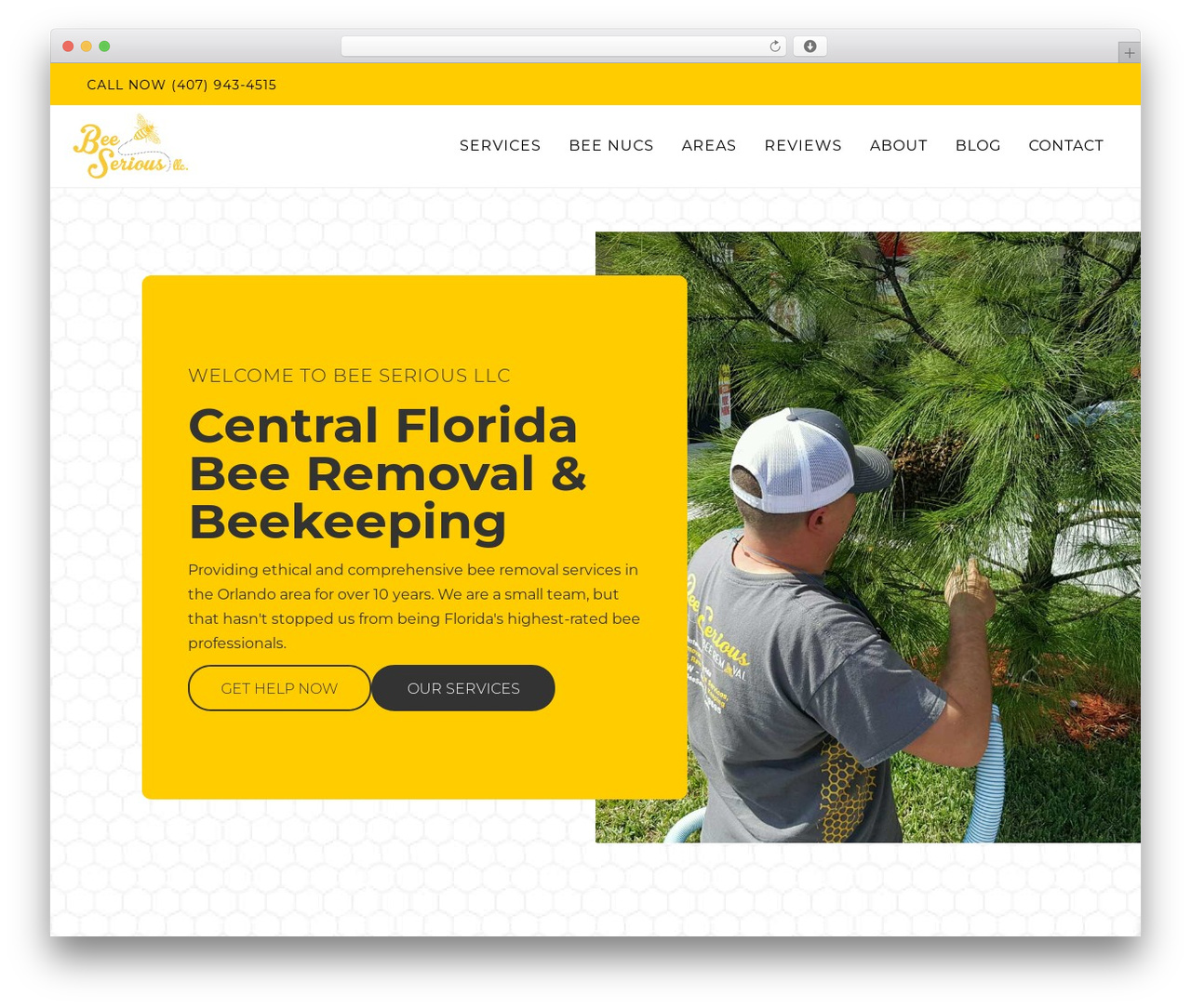 Beaver Builder Theme WordPress theme - beeseriousfl.com Beaver Builder Theme WordPress theme - beeseriousfl.com