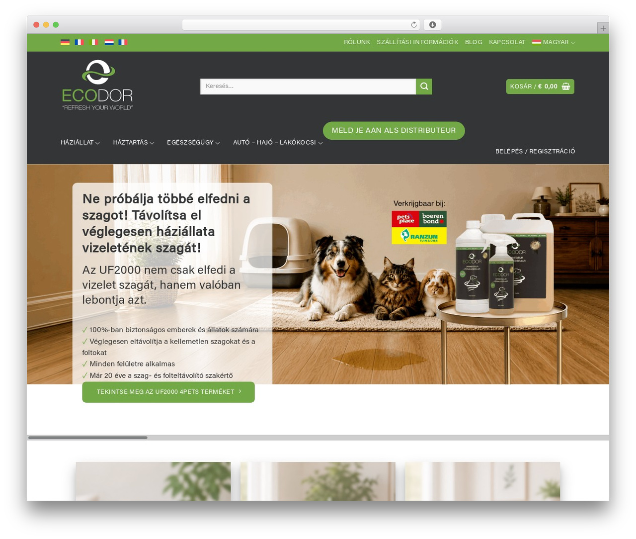 Flatsome Child theme WordPress - ecodor.hu Flatsome Child theme WordPress - ecodor.hu