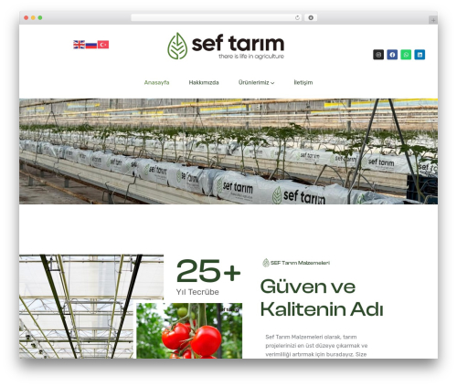 Greenaura WordPress theme - seftarim.com