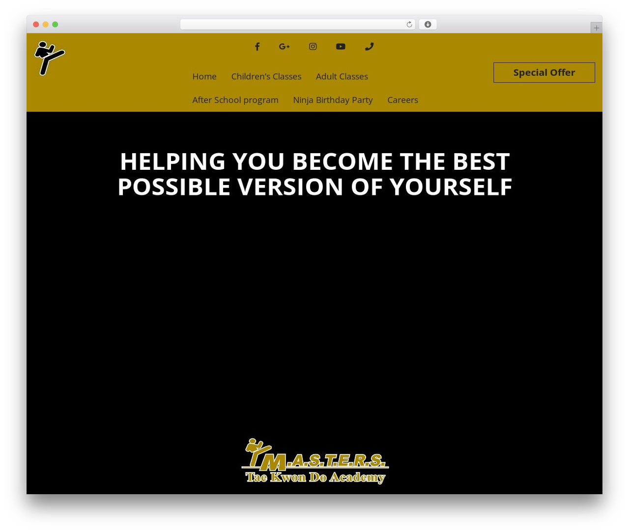 Theme WordPress PerfectMind Theme - masterstkd.com