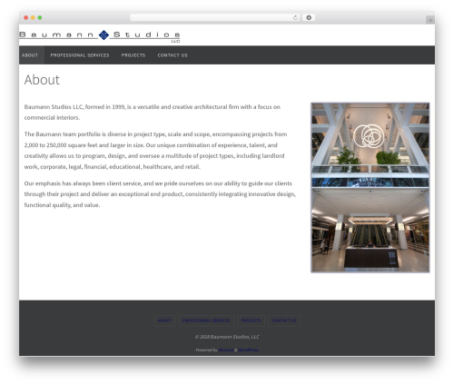 WordPress theme BaumannStudios 2016 - baumannstudios.com