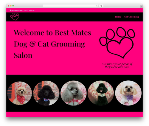 WordPress theme Divi - bestmatesdoggrooming.com.au