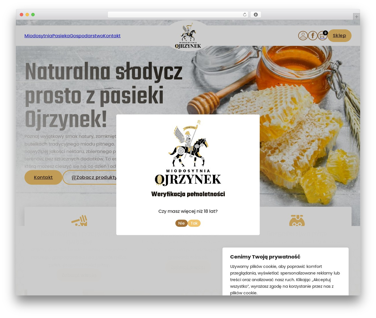 Bricks WordPress theme - ojrzynek.com