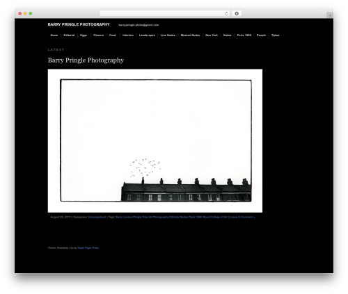 Modularity Lite wallpapers WordPress theme - barry-pringle.com