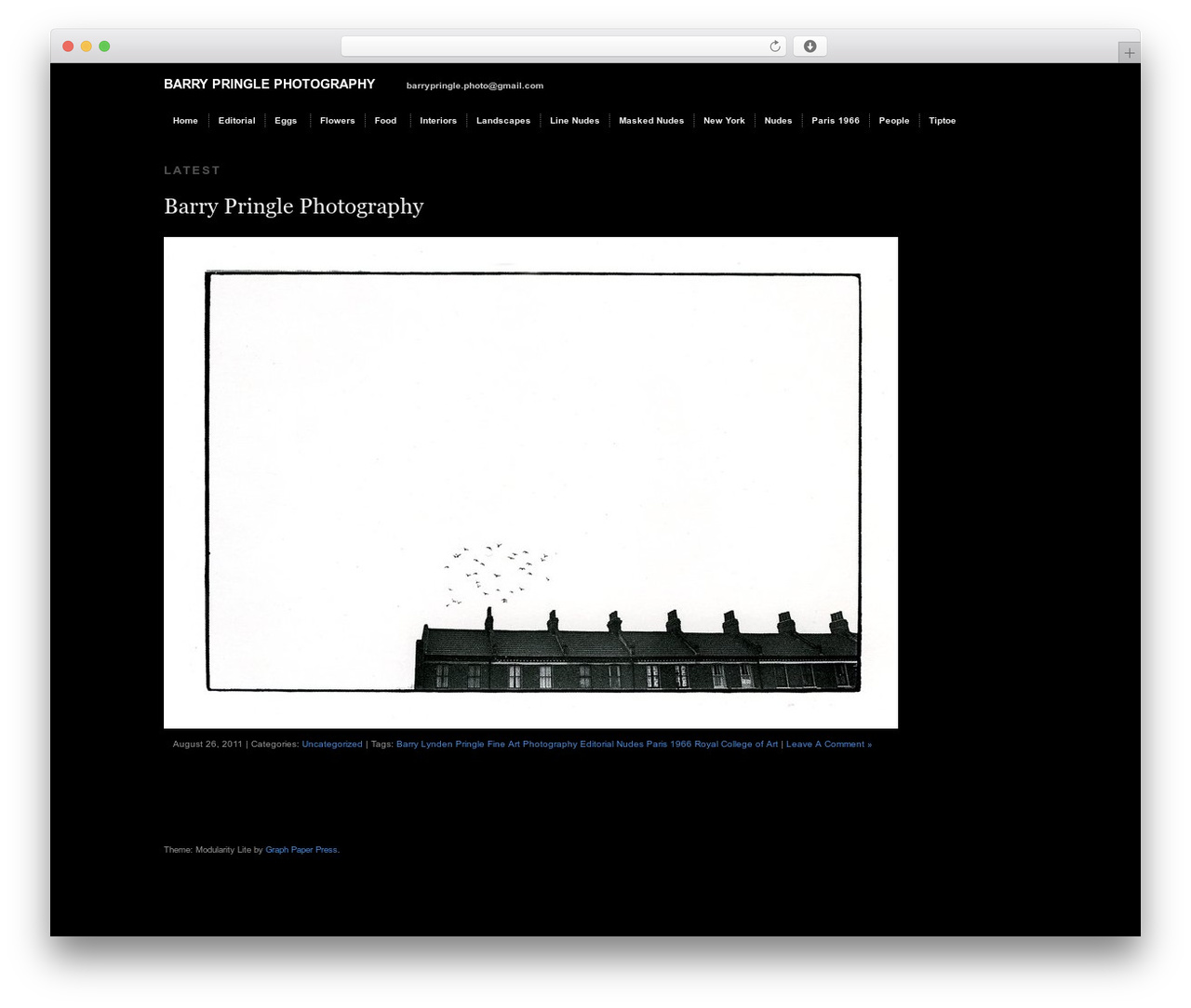 Modularity Lite wallpapers WordPress theme - barry-pringle.com