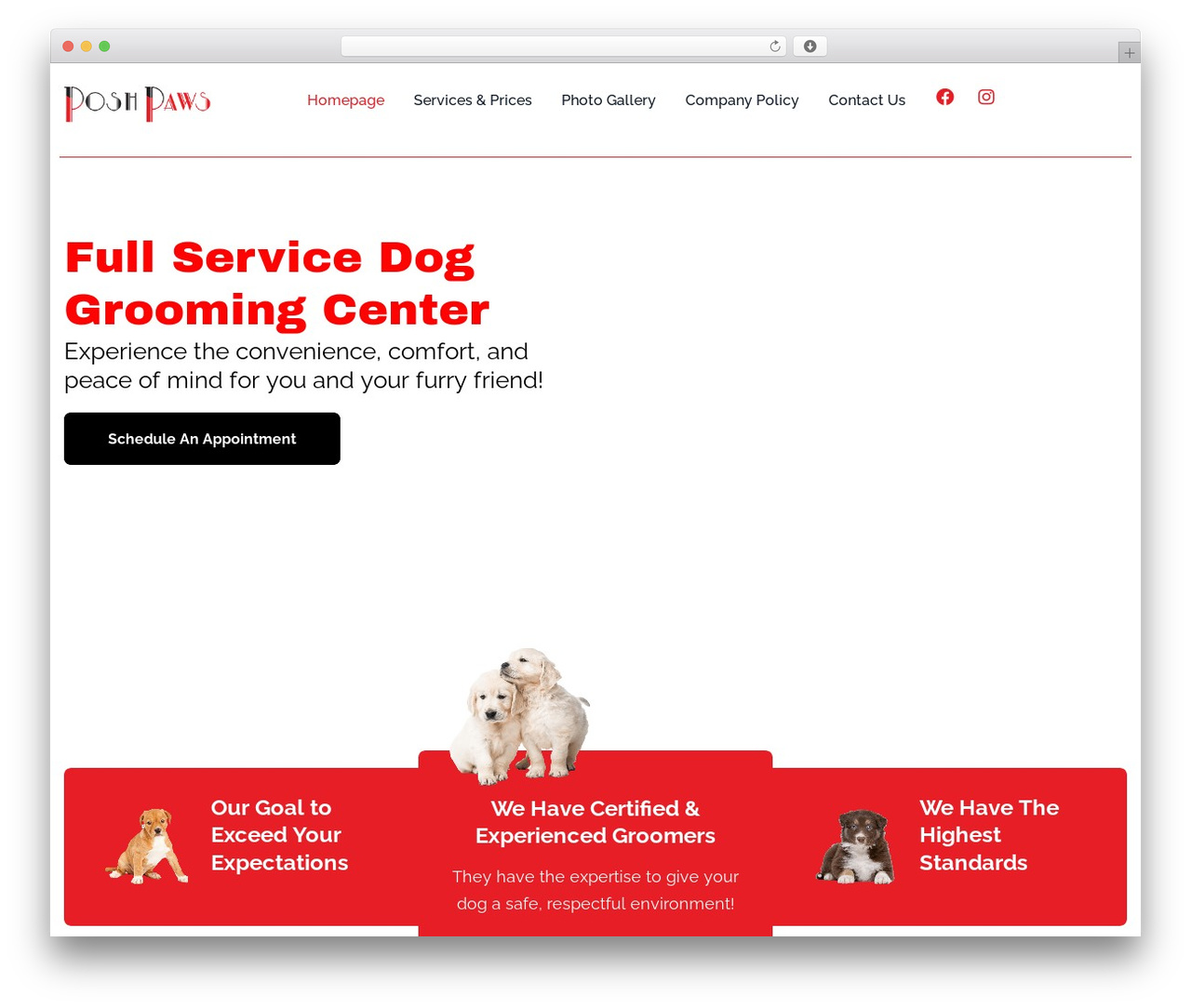Hello Elementor WordPress theme - poshpawsfl.com Hello Elementor WordPress theme - poshpawsfl.com