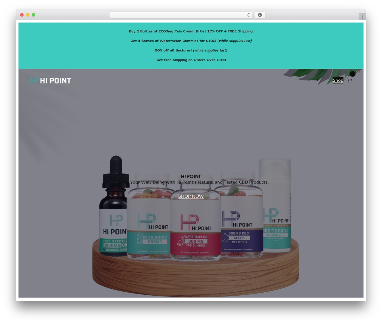 StartFitter WordPress theme design - hipointlabs.com