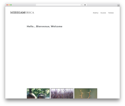 WP theme Gutenberg Starter WordPress Theme - merriamerica.com