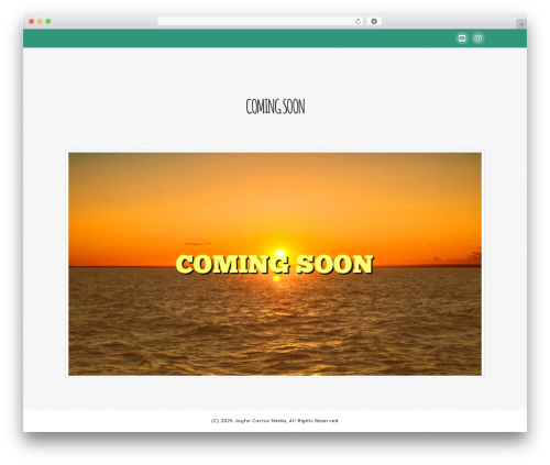 Wordpress social stream WordPress plugin - joyfulcactus.com